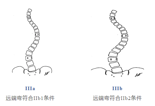 微信圖片_20250627125235